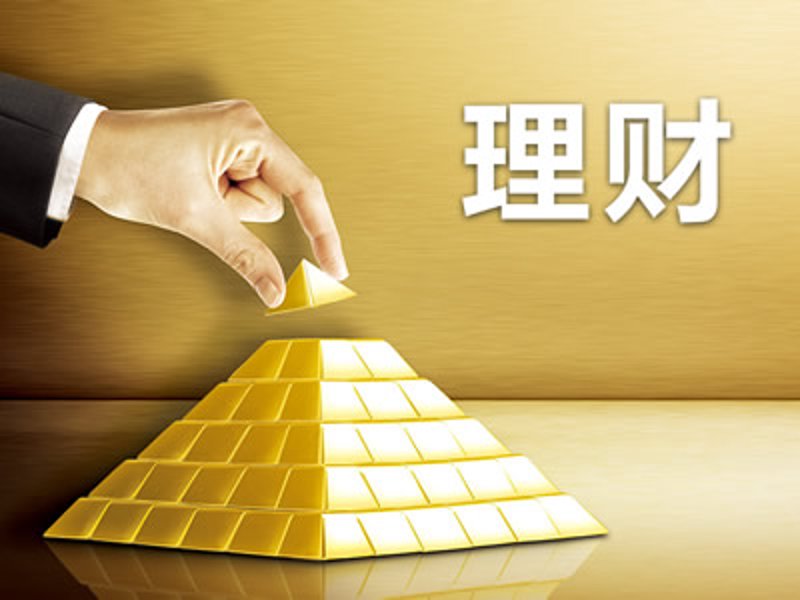 私募股权投资：探索资本与价值的交汇点